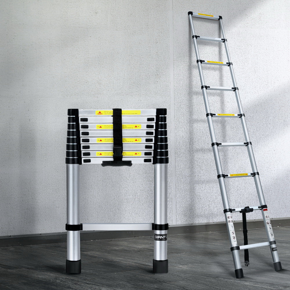 Telescopic Ladder